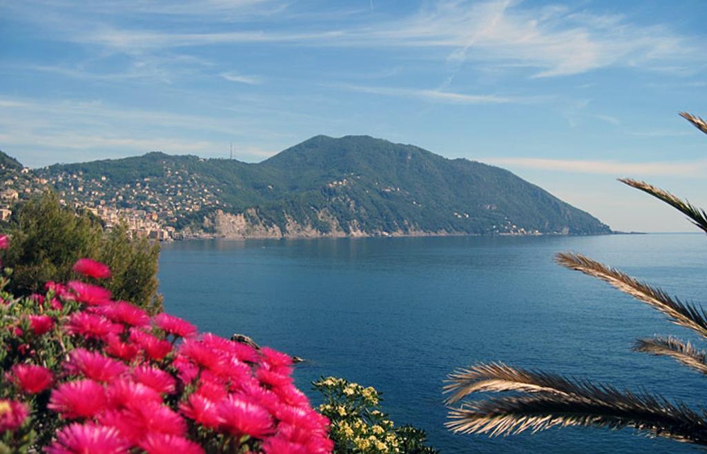 Hotel Elena Recco Dış mekan fotoğraf